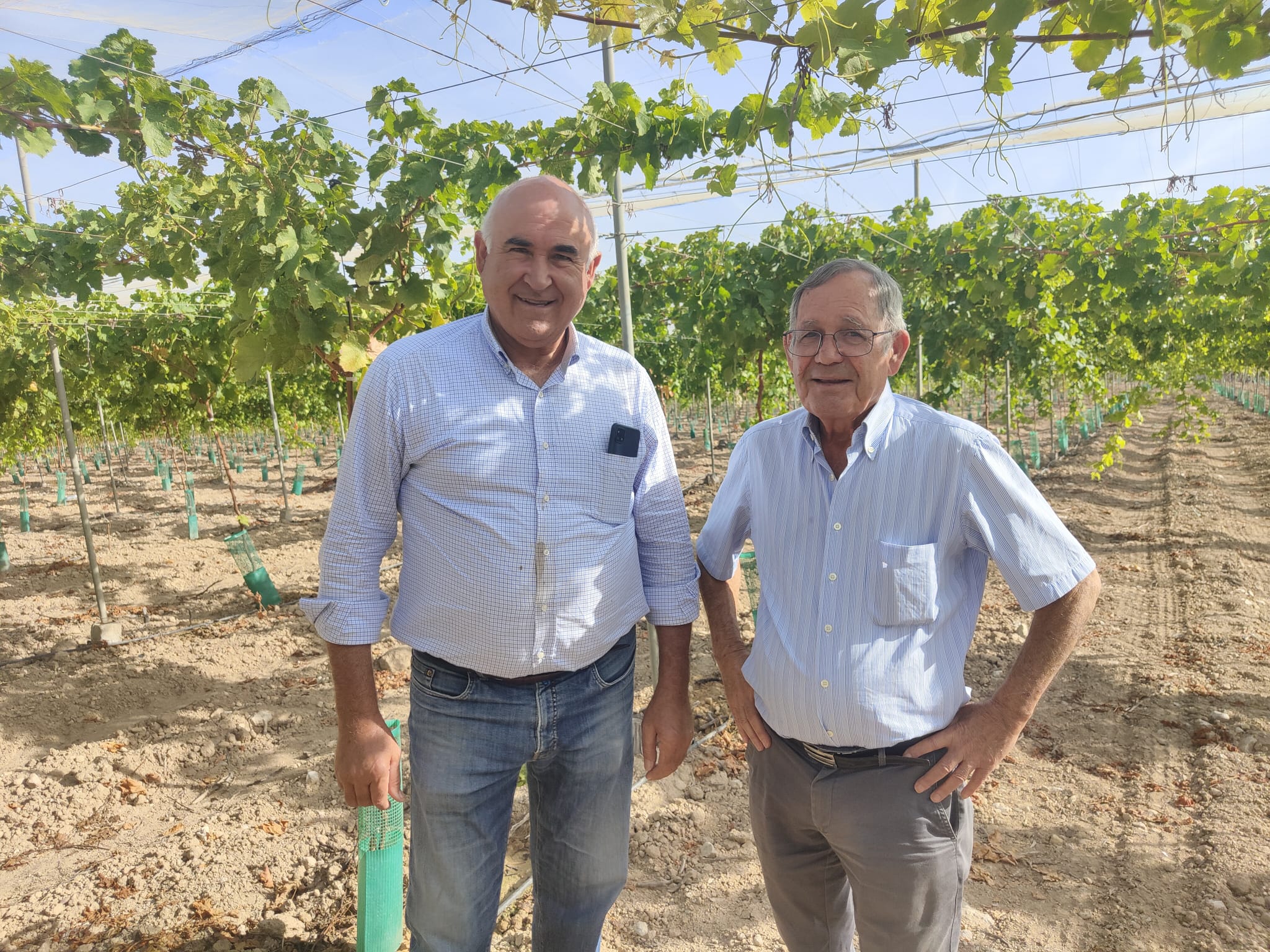 Antonio en el campo actual